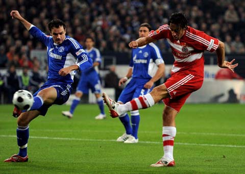 引进了包括 引进了包括